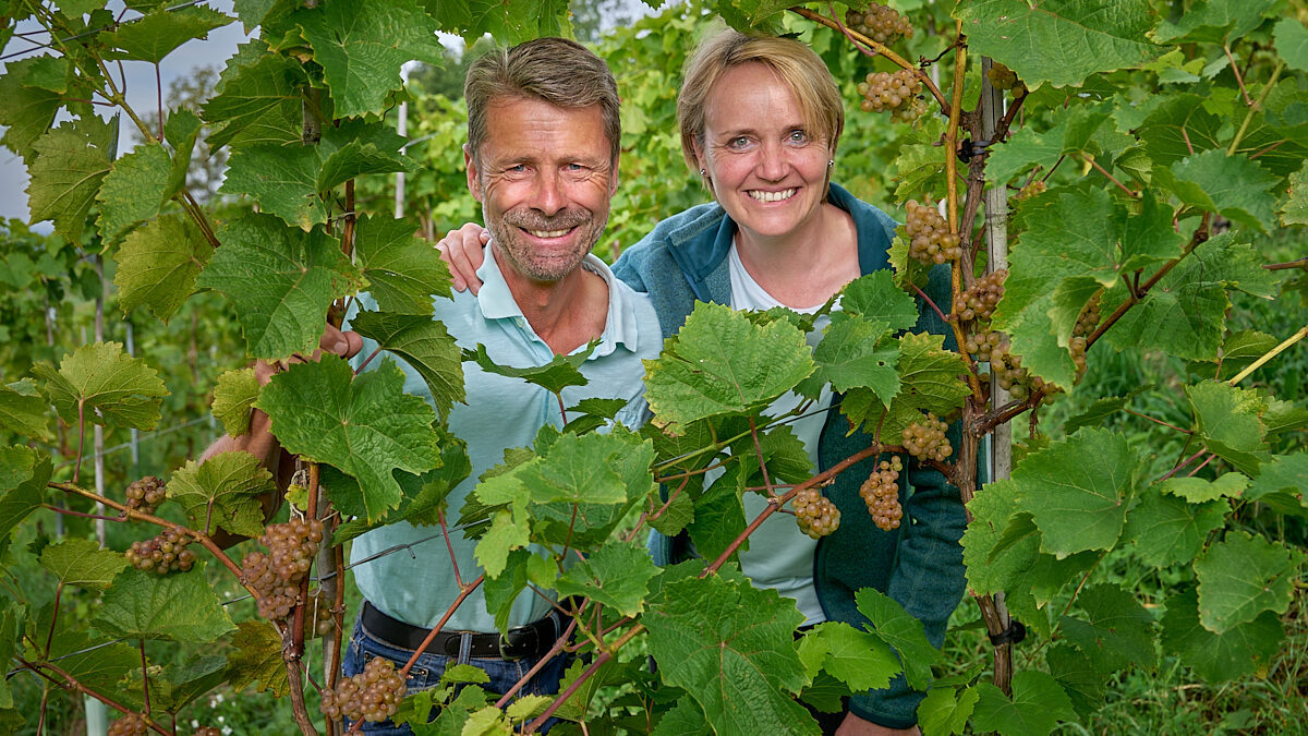 Betriebsbesichtigung beim Weingut Lenz